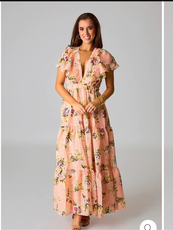 Buddy Love Dresses & Skirts - BuddyLove Cece floral rose maxi
